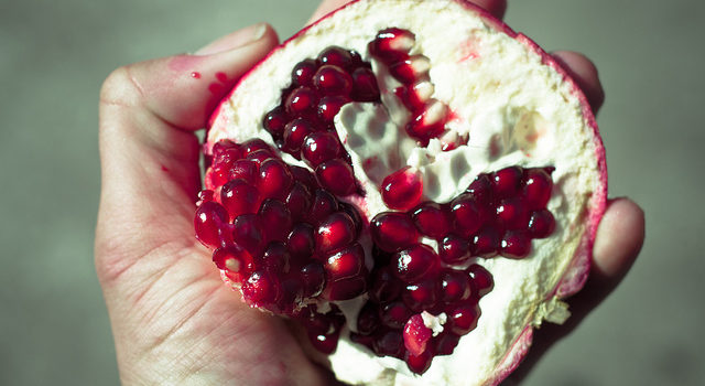 10207531713_cf8aa38884_z