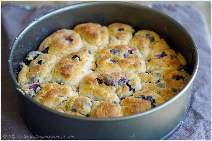 gluten-free biscuits 2