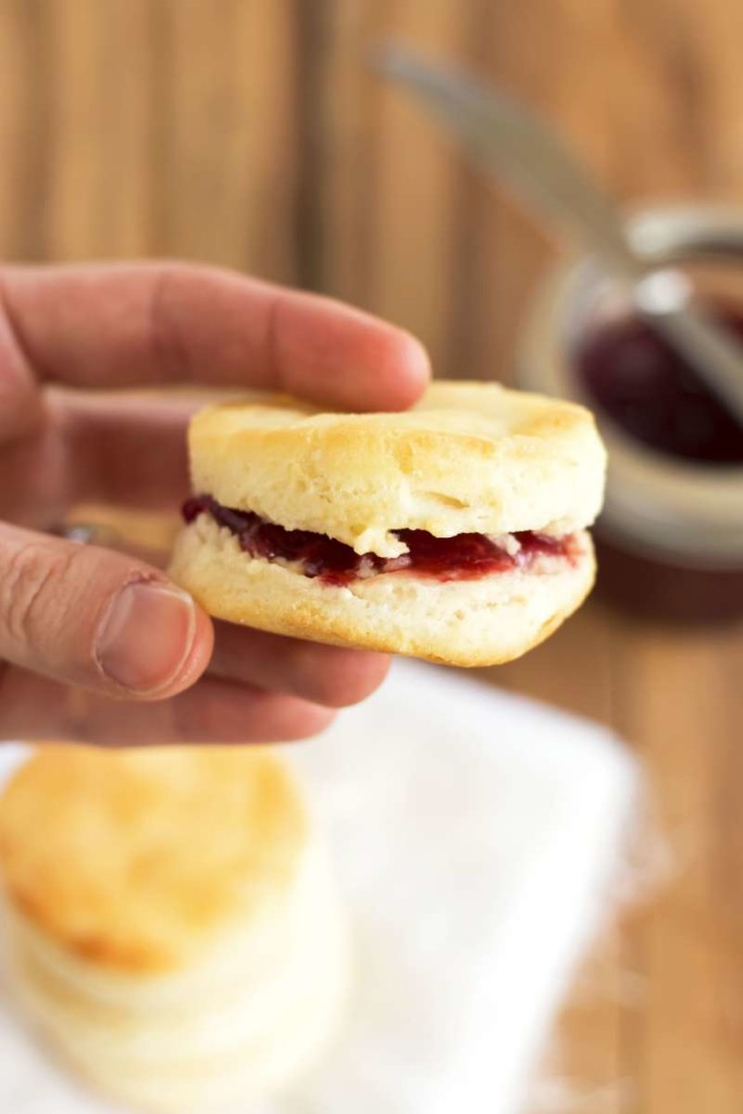 gluten-free biscuits 4