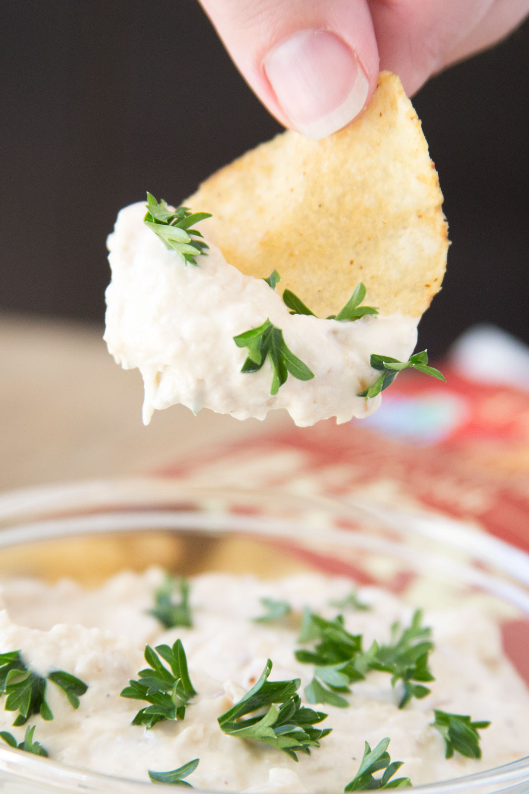 caramelized onion dip 2