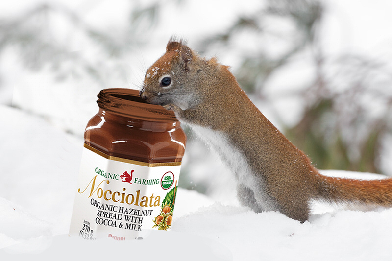 Winter Nocciolata
